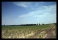 resized_020.jpg