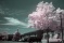 resized_IMG_2130.jpg