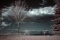 resized_IR2.jpg