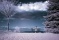 resized_IR4.jpg