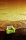 resized_diewinniethepoog.jpg