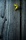 resized_floweronwoodtexture.jpg