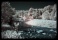 resized_rougeriver1.jpg