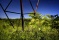 resized_towervsnature.jpg