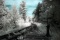 resized_traintrackIR.jpg