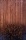 resized_woodwithfloweredit.jpg
