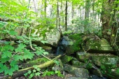 IMG_0550-30.jpg