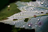 IMG_0561-34.jpg