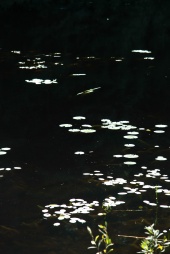 IMG_0572-38.jpg