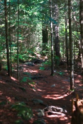 IMG_0579-40.jpg