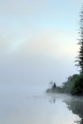 resized_IMG_9062_3_4.jpg