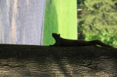 resized_IMG_2587.jpg