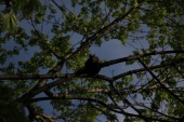 resized_IMG_2590.jpg