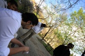 resized_IMG_2618.jpg