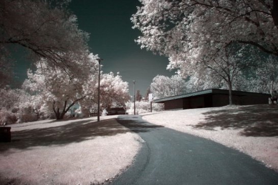 resized_saeedparkIR.jpg