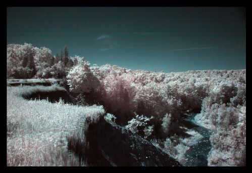 resized_RougeparkIR.jpg