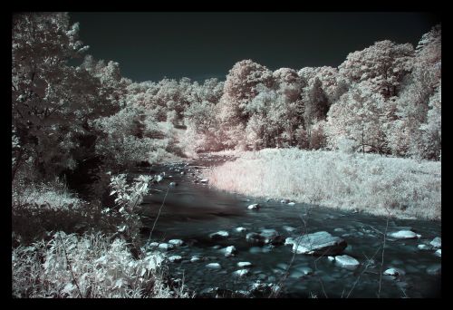 resized_rougeriver1.jpg