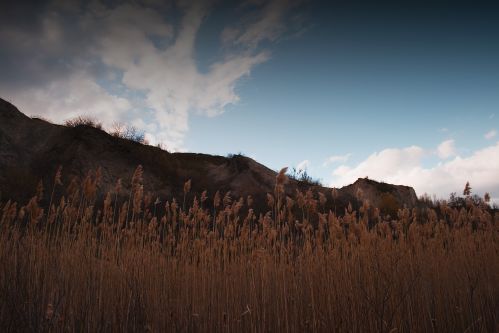 resized_vistawallpaper.jpg